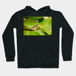 Prince James Gardens Hoodie